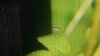 tmp_3536-IMAG12221105526019.jpg