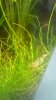 WP_20160616_17_19_05_Pro.jpg