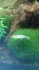 WP_20160616_17_19_29_Pro.jpg