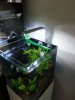 20160616_163213.jpg