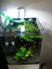 20160616_163207.jpg