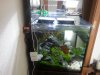 20160701_132532.jpg