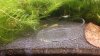 20160705_211635_.jpg