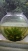 20160716_161628.jpg