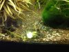 IMG00843-20120219-1954.jpg