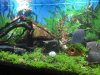 thumb_IMG_1790_1024.jpg