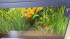 20160808_123811.jpg