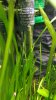 20160808_123955.jpg