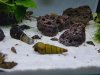 20160810_215721-800x600.jpg