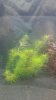 20160904_190209.jpg