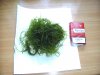 BILD3918.JPG