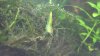 WP_20160915_17_00_47_Pro_LI.jpg