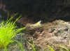 IMG_20160930_080048.jpg