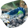 SmartSelectImage_2016-10-03-18-59-38.png