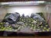 20160908_183739.jpg
