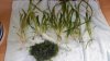 20161029_123305.jpg