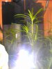 BILD0119_6.JPG
