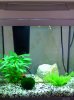 2008_072830_l_becken0045.JPG