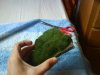DSC01251.JPG