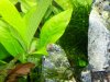 100_0720.JPG