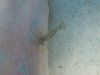 100_2793.JPG