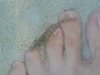 100_2795.JPG