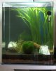 aquarium01.jpg