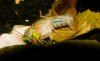 _MG_3768.jpg