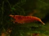DSC03534.JPG