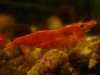 DSC03442.JPG