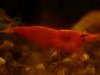 DSC03450.JPG