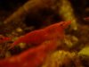 DSC03455.JPG