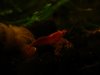 DSC03467.JPG