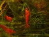 DSC03497.JPG