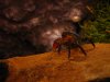 IMG_1000_small.jpg