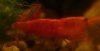 DSC03449 pp.jpg