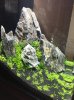 IMG_1730.JPG