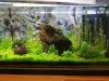 20161017_211235-800x600.jpg