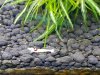 20161218_185248-800x600.jpg