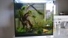 IMG-20170103-WA0025.jpg
