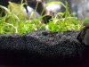20170103_170231.jpg