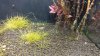 IMG_20170107_124744.jpg