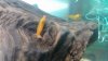 20170127_190849.jpg