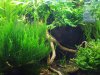 20170220_144810.jpg