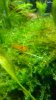IMG-20170207-WA0001.jpg