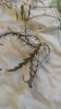 20170217_075220.jpg
