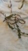 20170217_075213.jpg