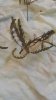 20170217_075243.jpg