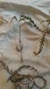 20170217_075300.jpg