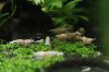 _MG_2710.jpg